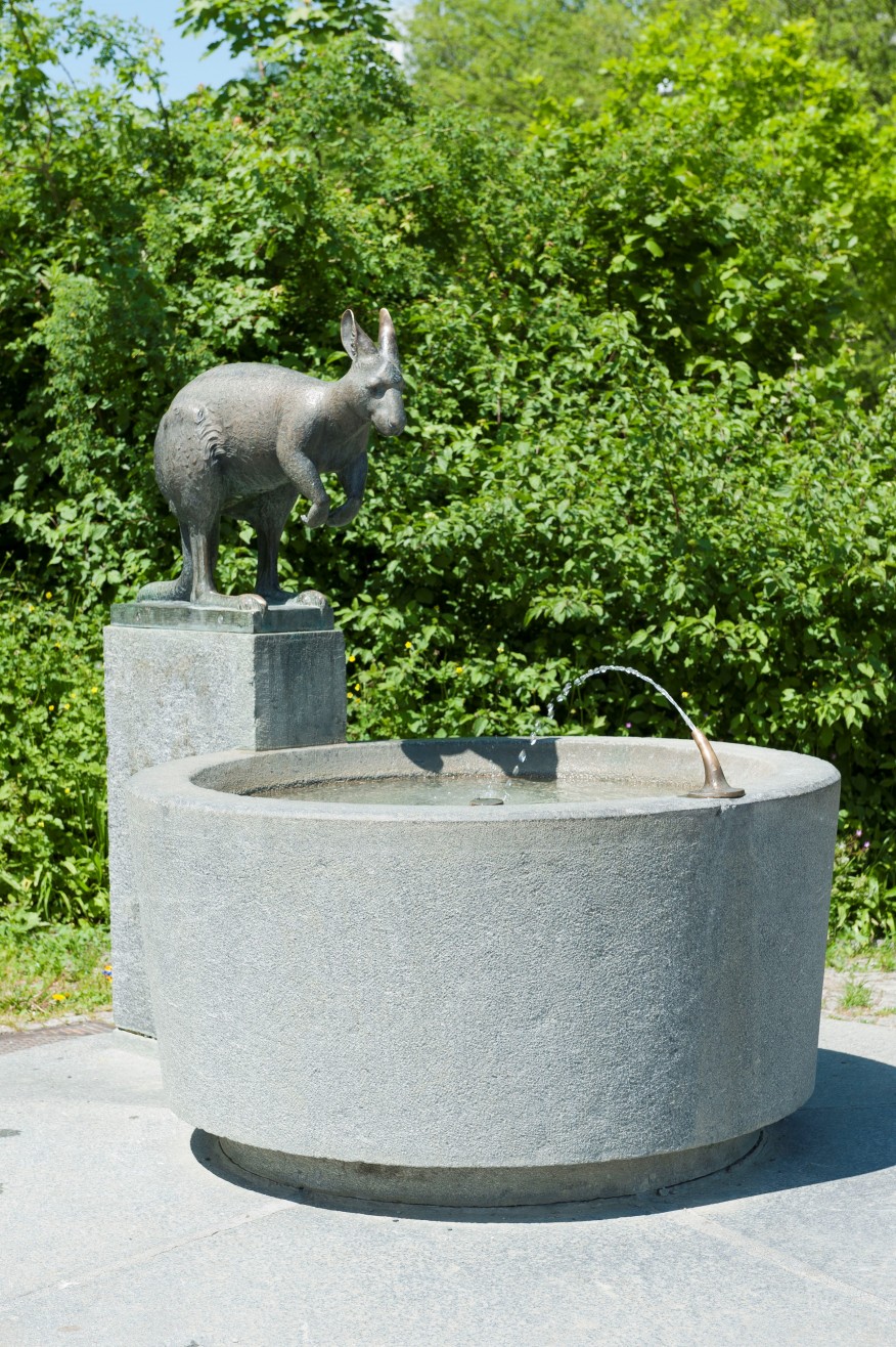 Schweighofstrasse hinter 335