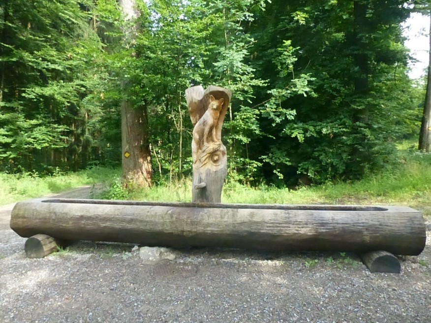 Frauenbrünneli-/Waldhüslistrasse