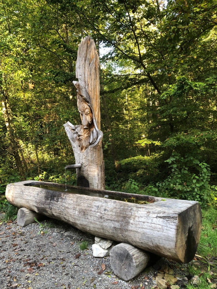 Forrenweid-/Sagentobelstrasse