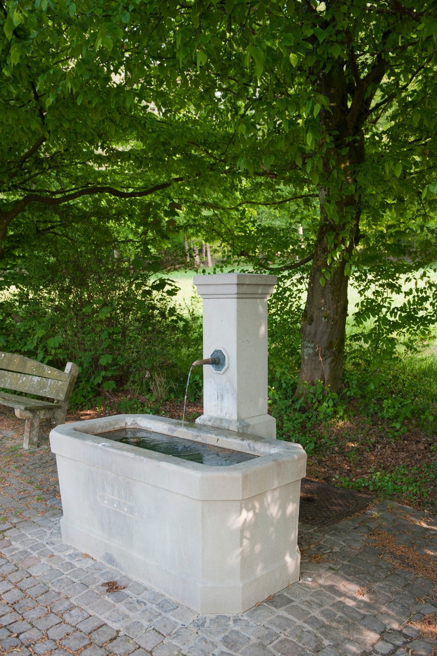 Witikonerstrasse, im Luckenholz