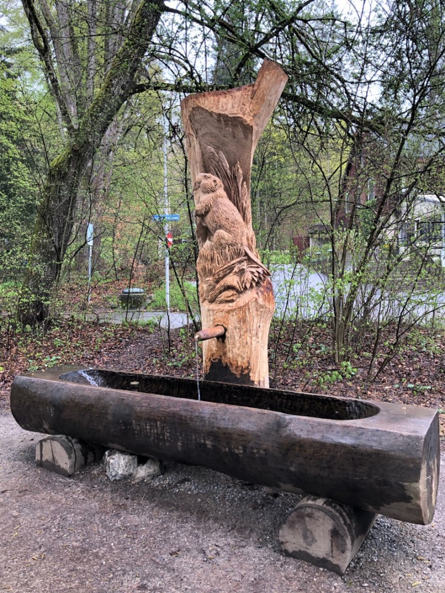 Degenriedstrasse vav. 135/Biberlinstrasse