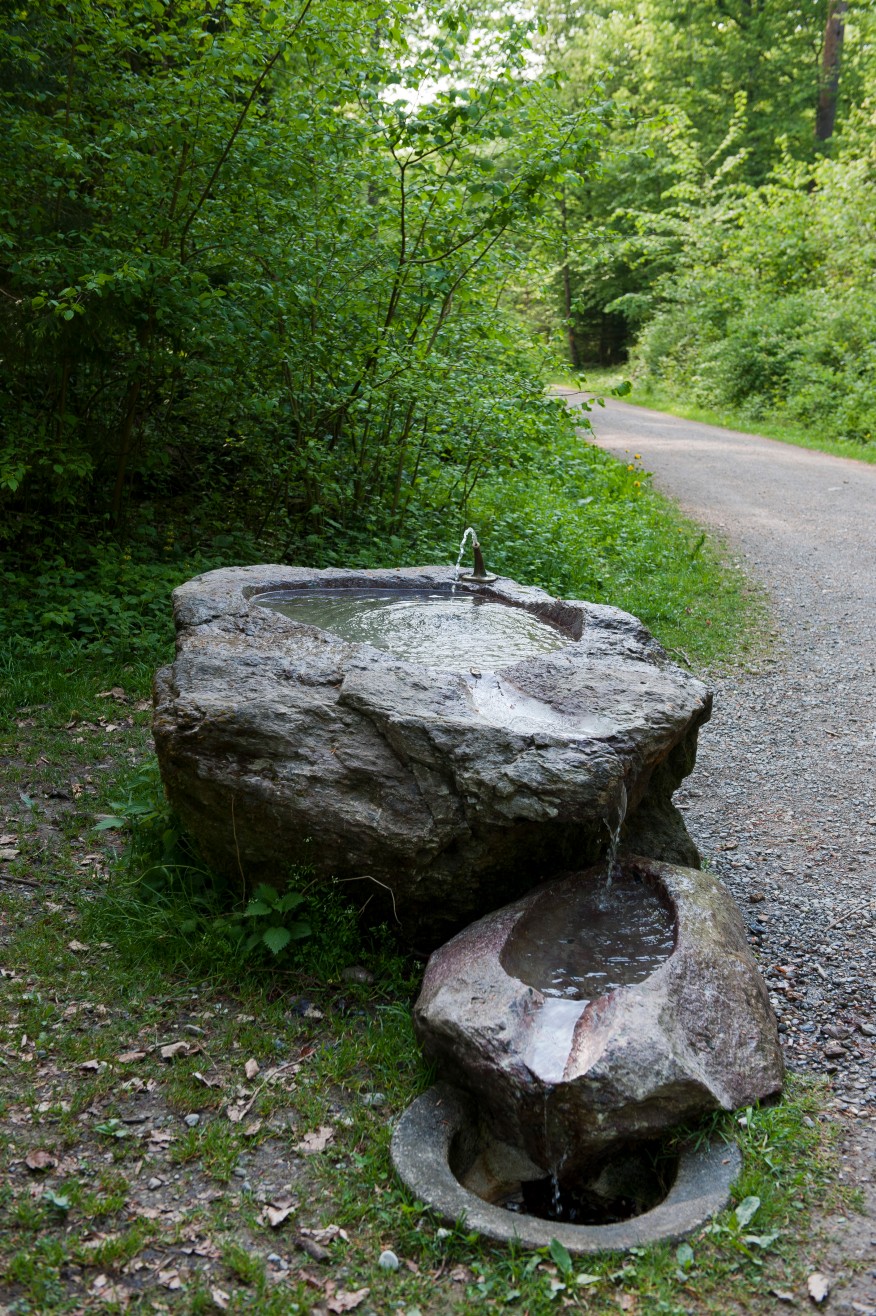 Weiherholzstrasse/Loorengutweg