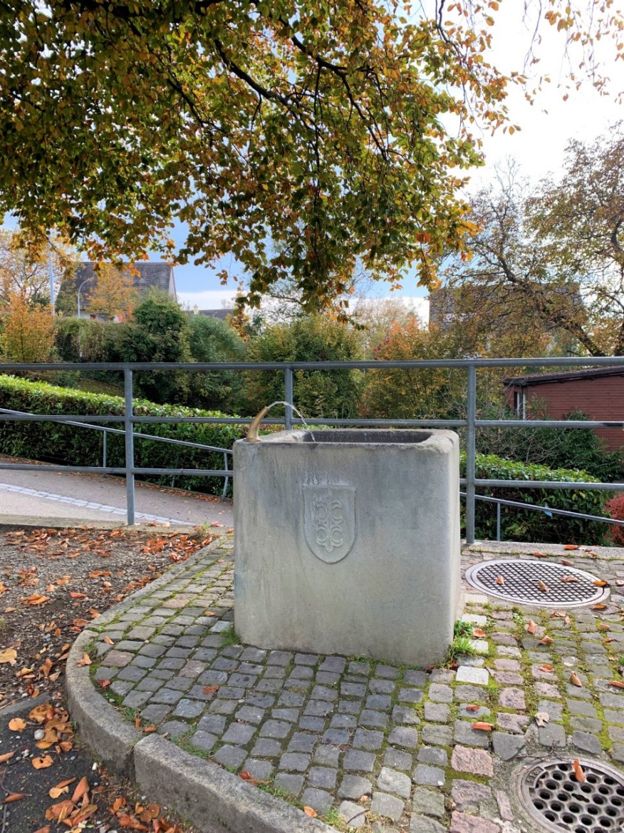 Witikonerstrasse/Waserstrasse