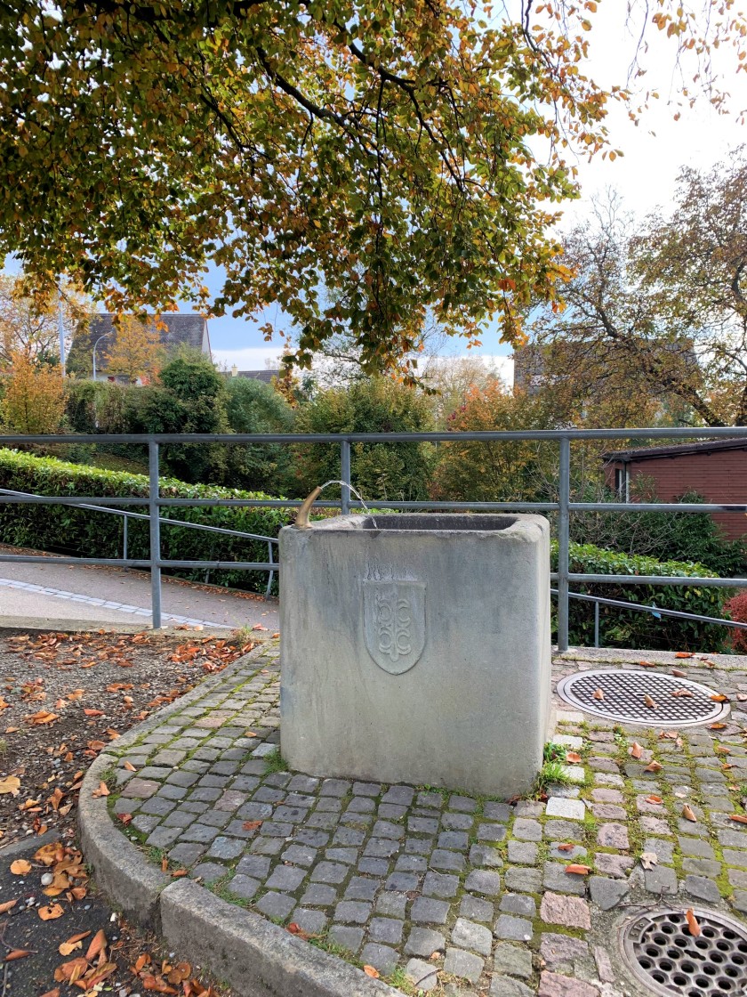 Witikonerstrasse/Waserstrasse