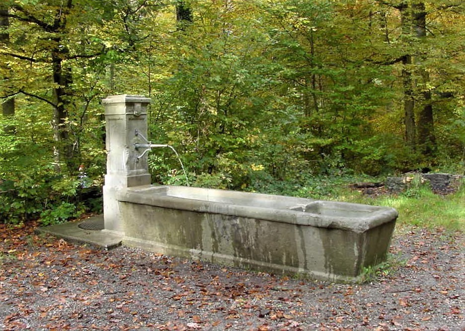 Biberlinstrasse