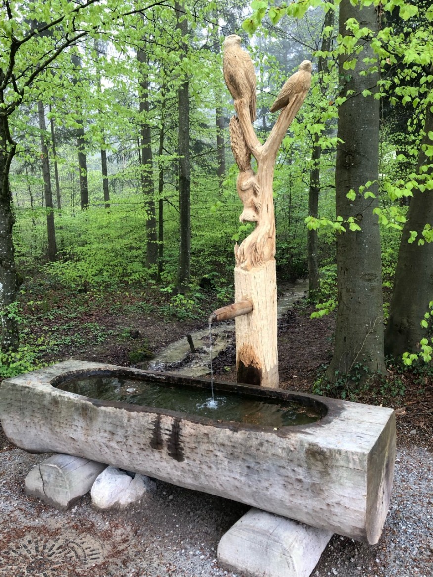 Forsthausstr. bei Dreiwiesenstr. 248