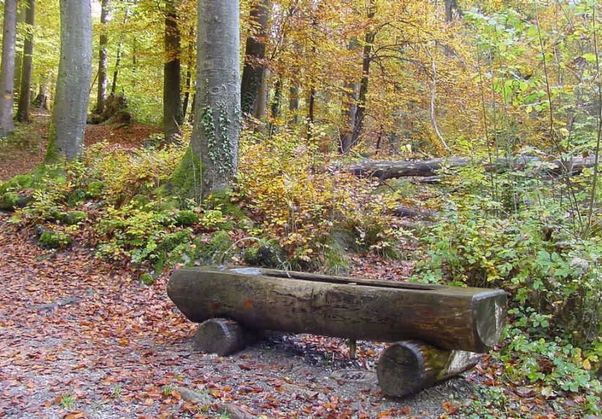 Wehrenbachtobel, bei Brücke