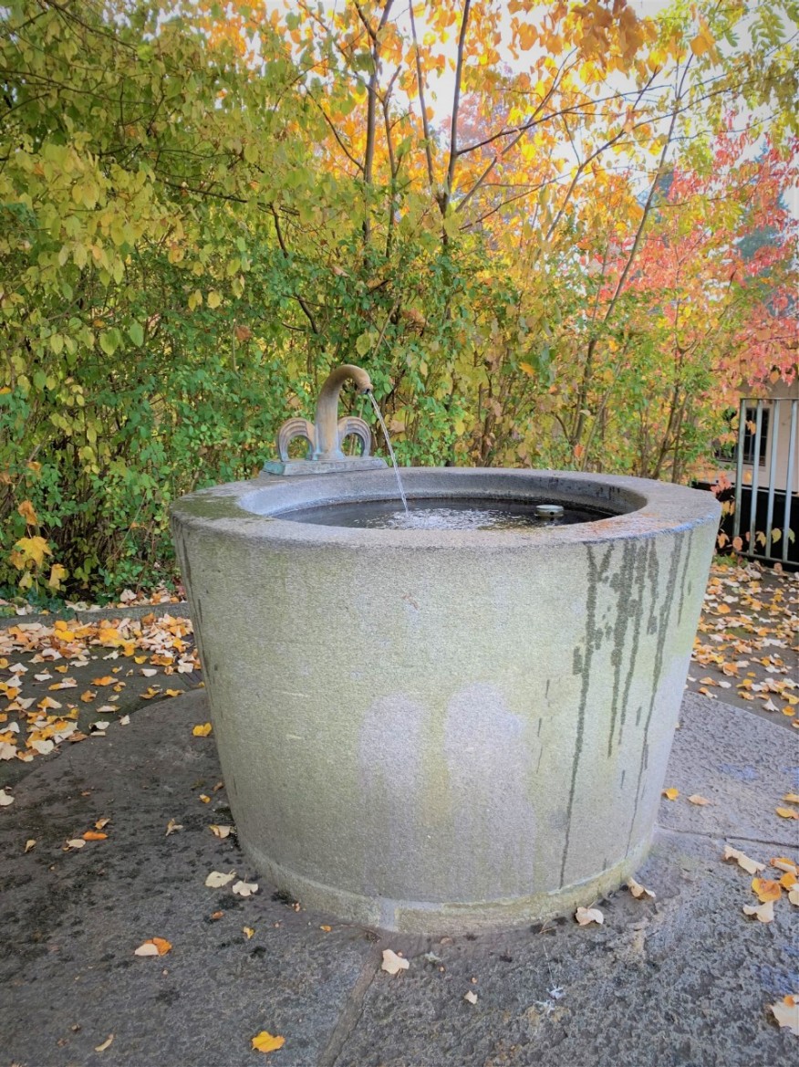 Forchstrasse vav. 407