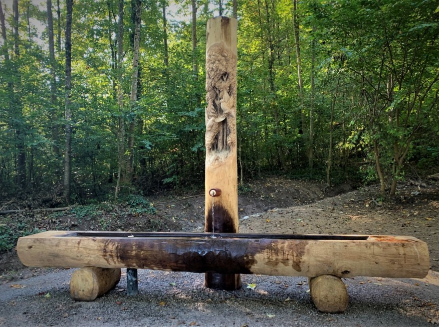 Mösliweg, Im Dunkelhölzli