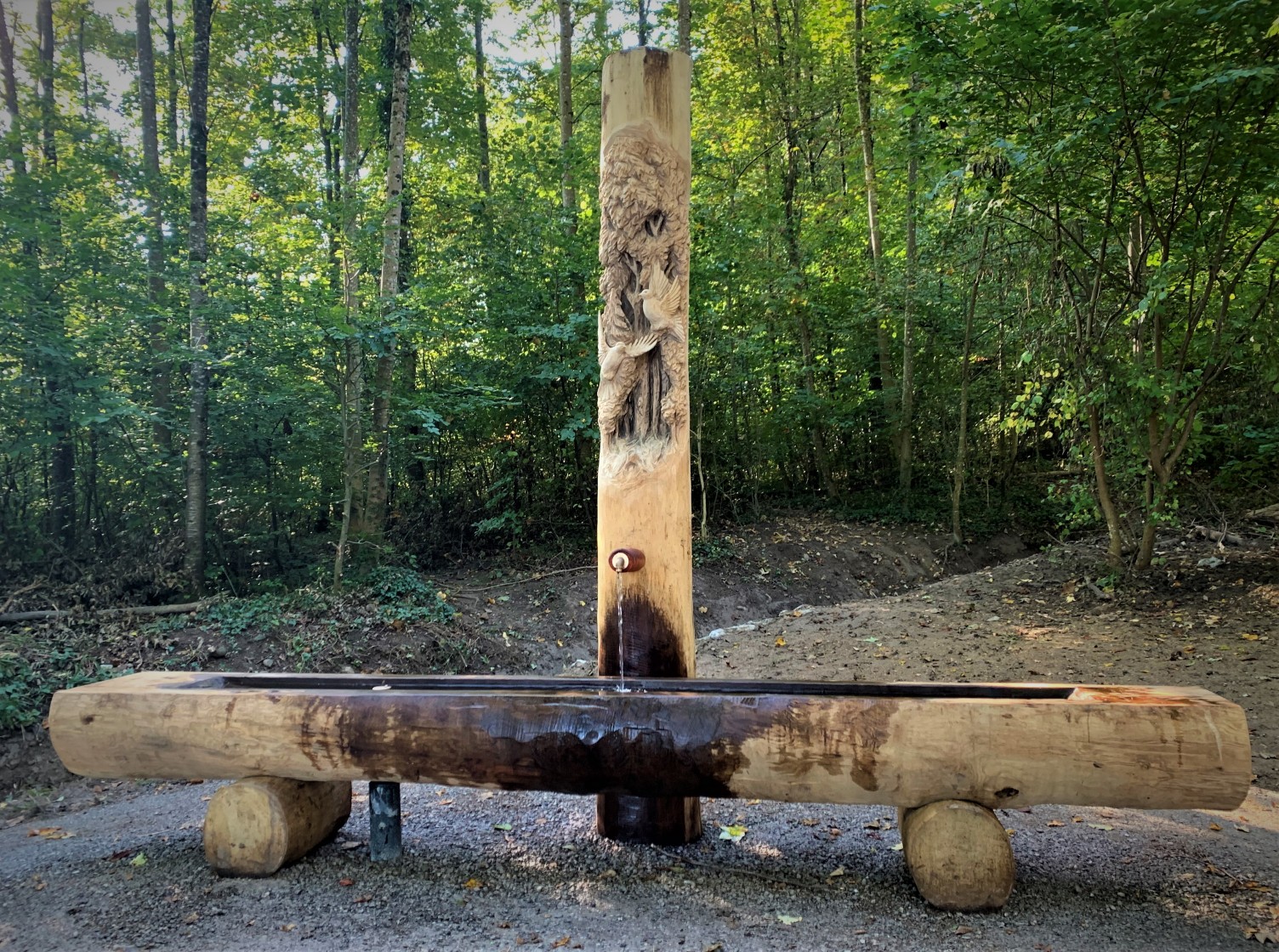 Mösliweg, Im Dunkelhölzli