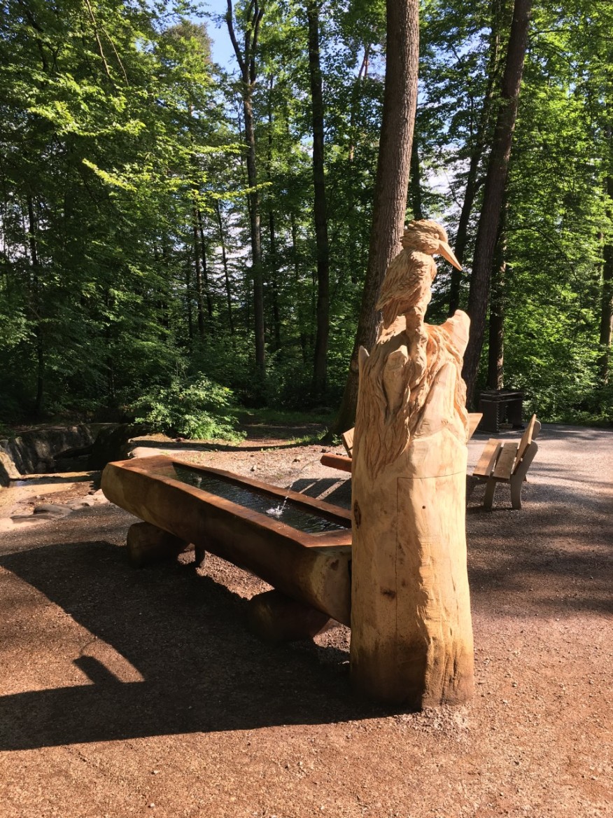 Friedhofstrasse, unterhalb Reservoir Lyren