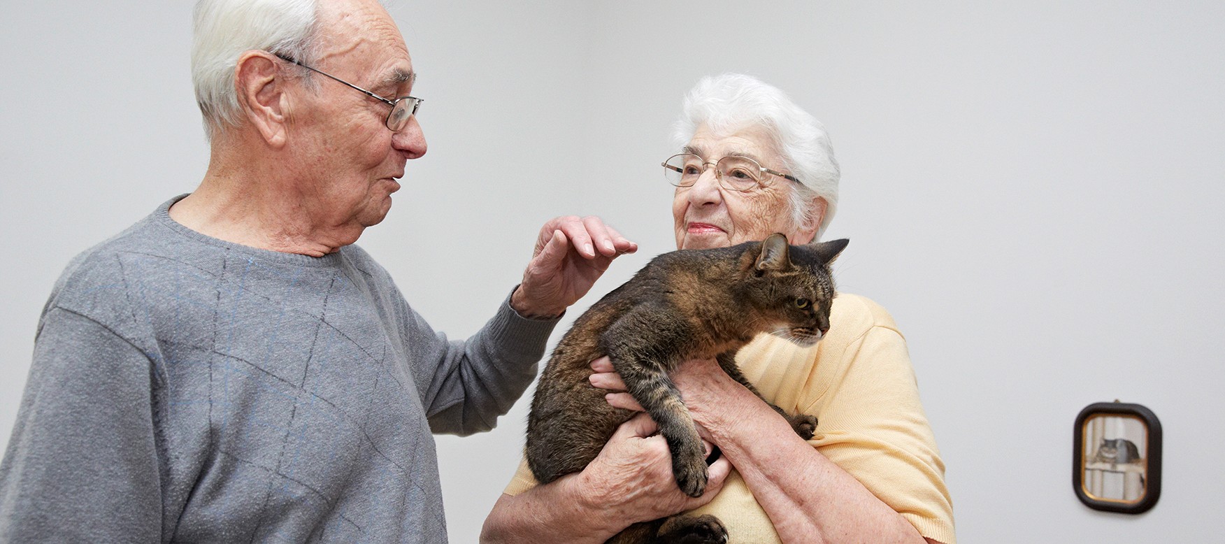 Symbolbild: Senior und Seniorin mit Katze